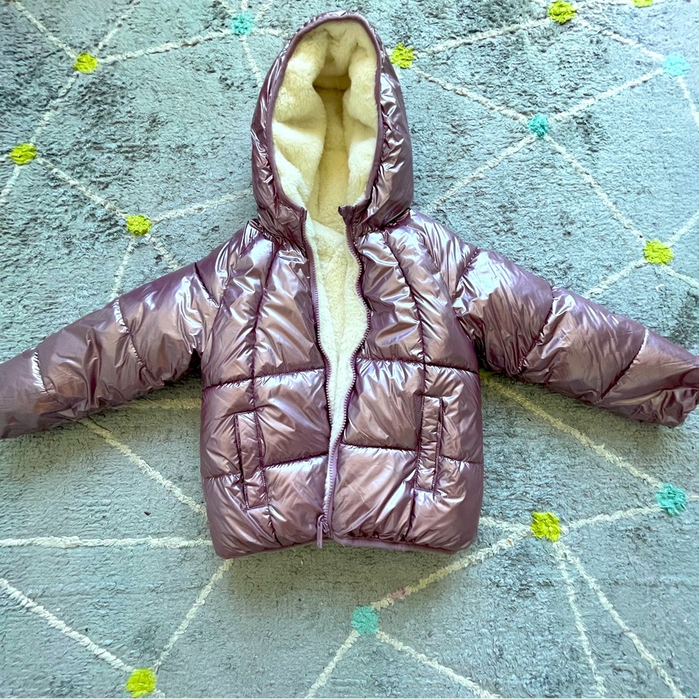 Winter Jacket